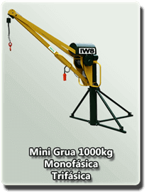 Mini Grua 1000kg