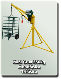 Mini Grua 350kg